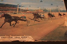 VENDO PISTA TROTTO " SAN SIRO"