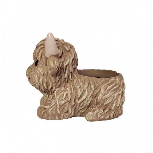 Vaso bue tibetano - bue,