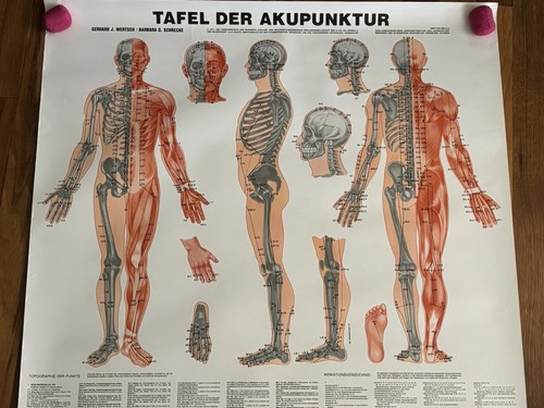 Poster modello agopuntura