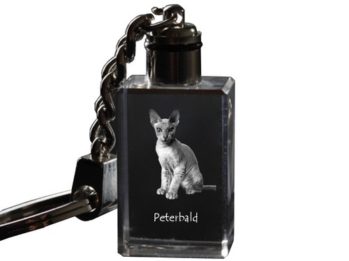 Peterbald orologio con - orologio,