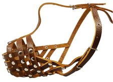 Amstaff Pitbull Secure Cestino