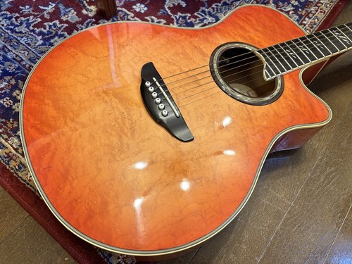 Chitarra elettrica acustica