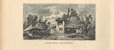 Stampa antica VALLE DEL BRENTA casolare e animali Vicenza 1885 Antique print