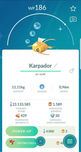 Pokémon karpador - ✨️,