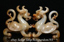  Statua tartaruga drago