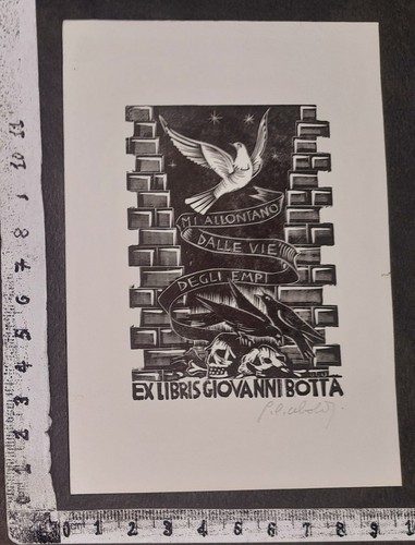 Wunderkammer exlibris 637 - ,
