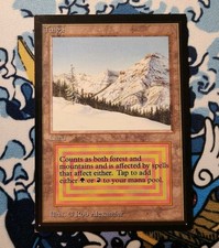MP Vintage 93/94 MTG Taiga CE