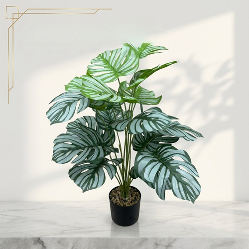 Foglia monstera verde - monstera,