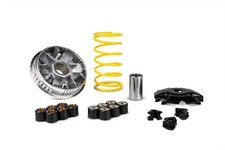 Variatore Malossi Multivar