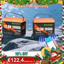 Batteria al litio 12V 100Ah