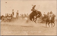 Tex Crockett Bronc Equitazione