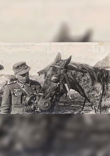 Borsa militare cavallo - borsa, da