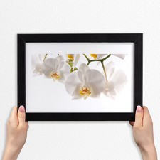 Arte da parete con cornice in