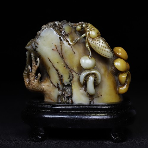 Squisita collezione shoushan - squisita,