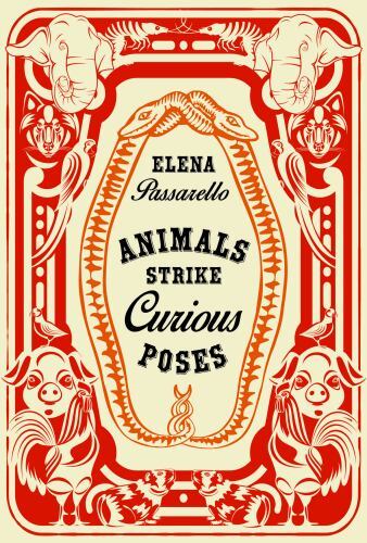 Animals strike curious poses - strike,
