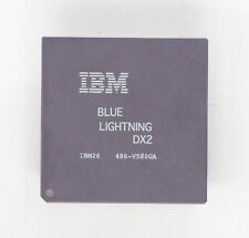 Processore 80486 - IBM BLUE