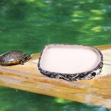 Ciotola per cibo per rettili