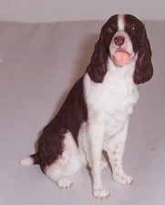 Best of Breed - English