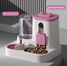 Dog and cat feeder, food and