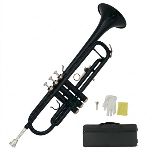 Tromba sib laccata - sib,