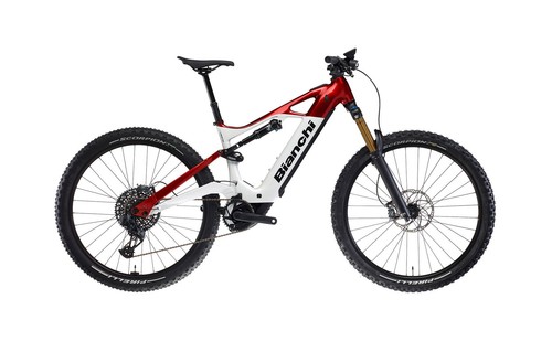 Bianchi vertic type 29 - e-vertic, fx-type