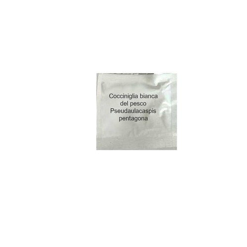 Feromone per cocciniglia - la,