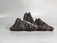 #5022.bellissimo bonsai cinese