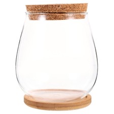  Propagation de la plante