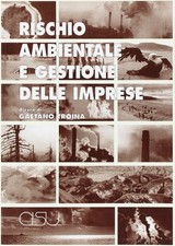 Rischio ambientale e gestione dell'impresa
