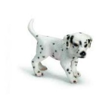 Cucciolo dalmata - cucciolo, di