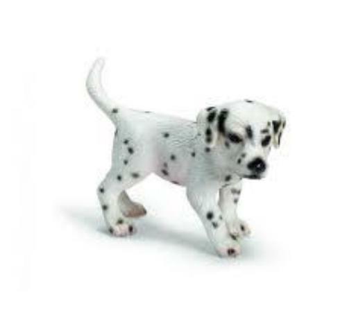 Cucciolo dalmata - cucciolo,