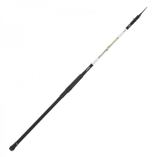 Canna tubertini next - canna,