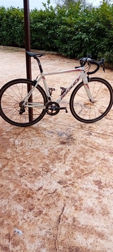 Bici corsa carbonio usate - bici,