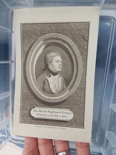 Miniature prince william - prince,