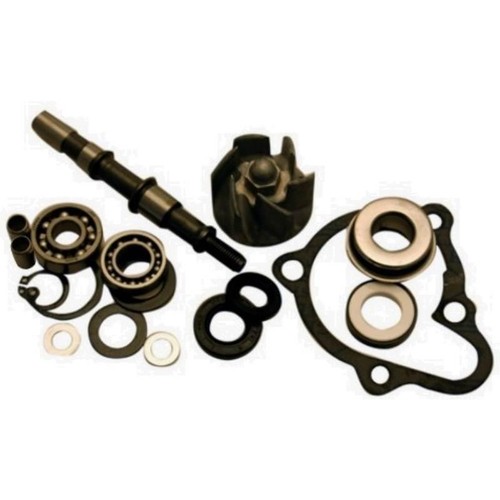 Kit revisione pompa acqua - kit,