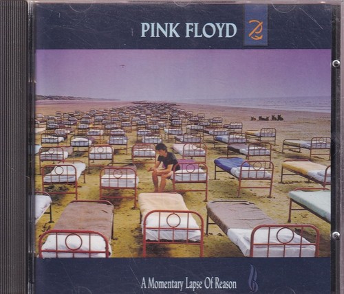 Pink floyd momentary - floyd,