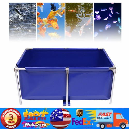 Cuboide blu tela pesci