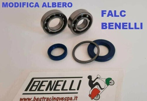 Cuscinetti paraoli modifica - cuscinetti, c4