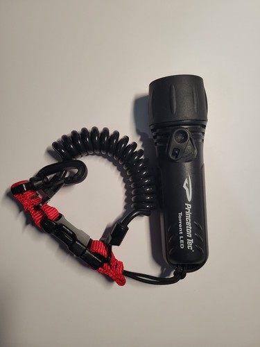 Torcia torrent princeton - princeton, tec