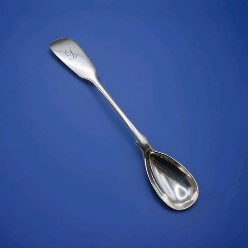 Cucchiaio condimento argento