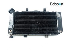Radiator Yamaha TDM 900