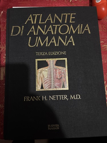 Netter m d - (medicina),