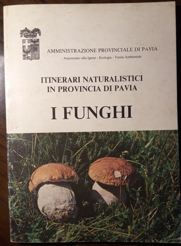 Funghi itinerari - funghi,