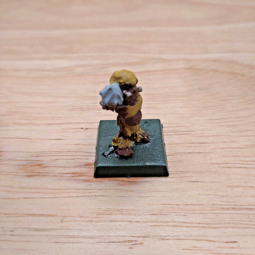Wfb warhammer pigmeo - pigmeo, portatore