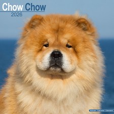 Calendario Chow Chow 2026 |
