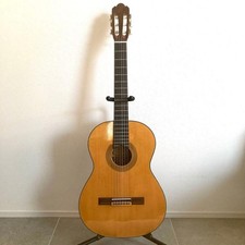 Chitarra acustica Zen-On