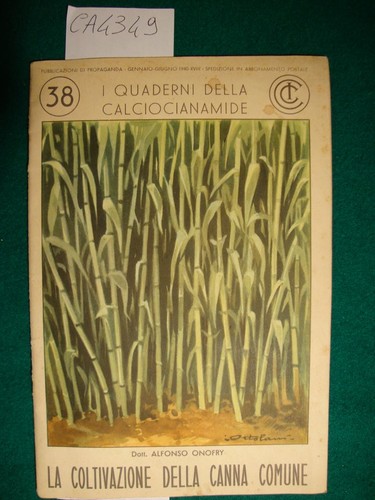 Quaderni della - i,