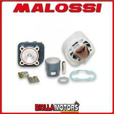 318440 GRUPPO TERMICO MALOSSI