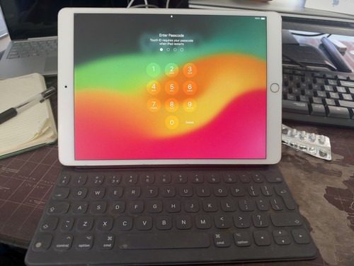 Apple ipad pro generazione - apple, 2a
