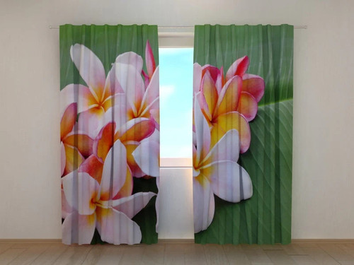 Tende fiori plumeria - di,